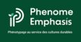 Phenome Emphasis